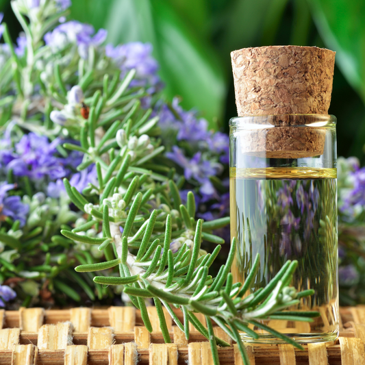 Aromatherapy oils with naturals flowers to show the healing power of nature