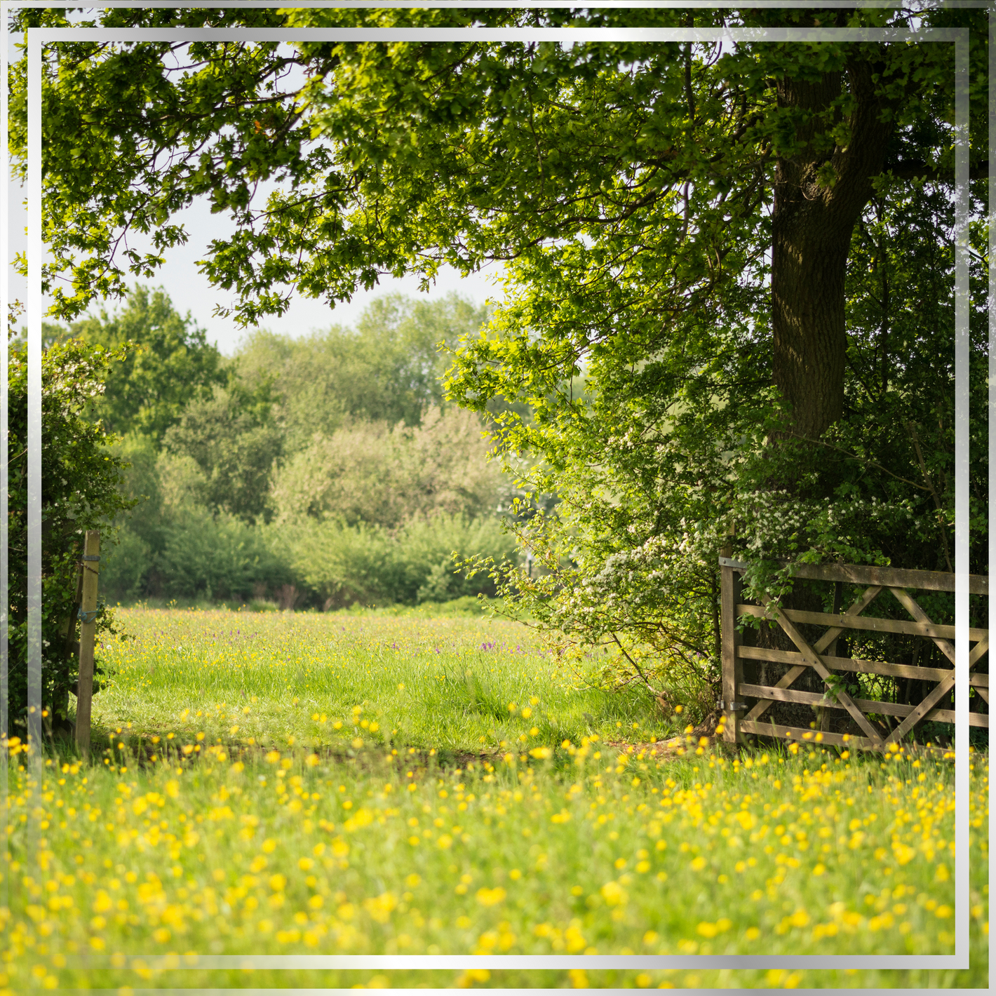 Gated field representing the connection of body, mind, and earth, highlighting Mystic Nomad’s cruelty-free candles and recyclable, reusable packaging