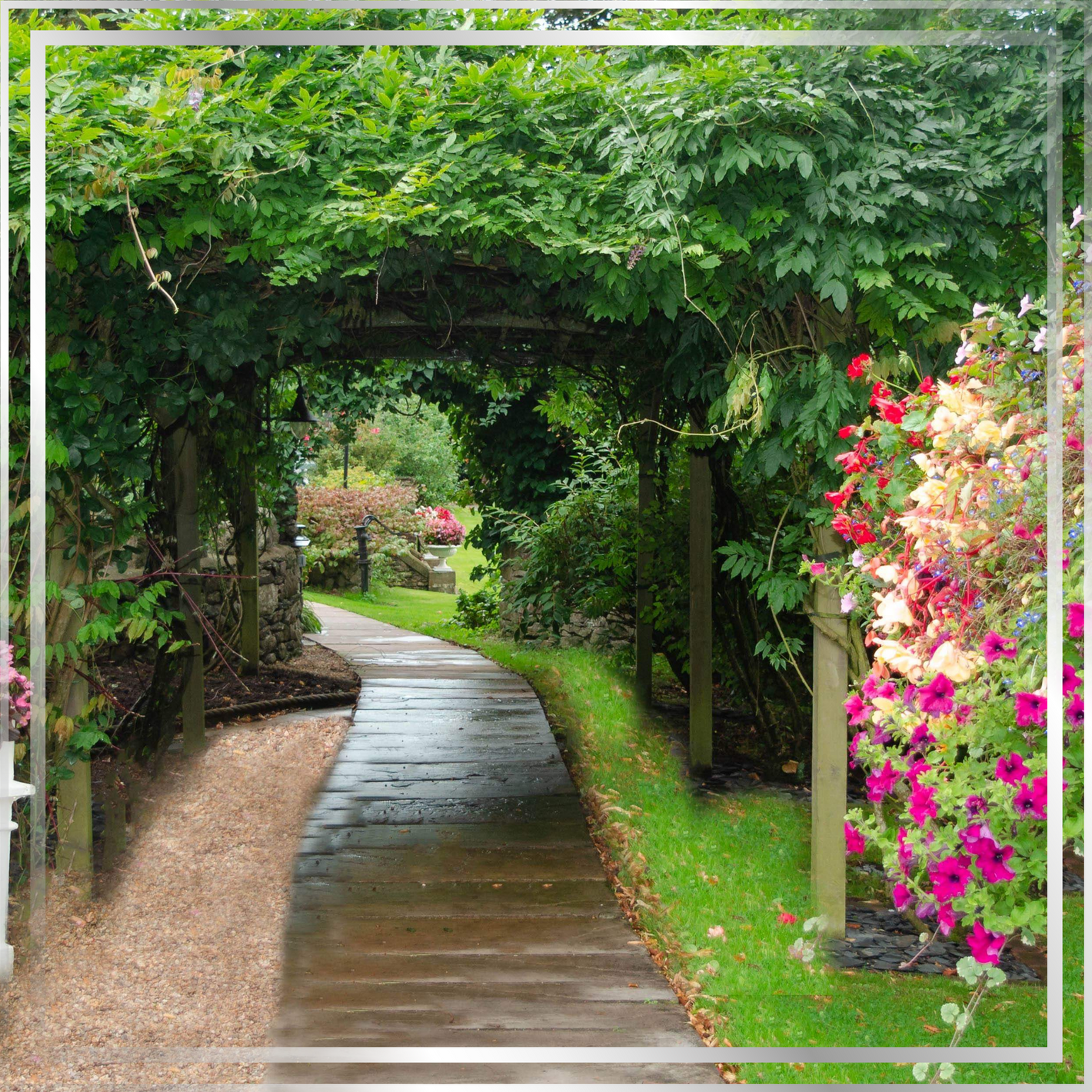 Nature scene representing the healing power of nature for aromatherapy and wellness with Mystic Nomad candles