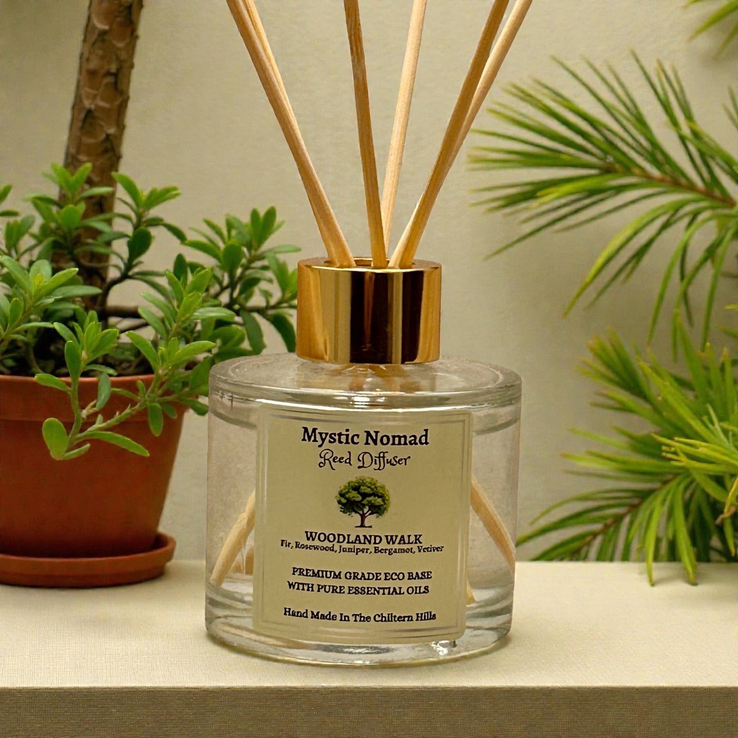 Woodland Walk reed diffuser styled with greenery to create a calming, forest-inspired space