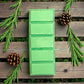 Woodland Walk wax melt snap bar shown alone, featuring grounding pine and woodsy essential oils for mindfulness and calm